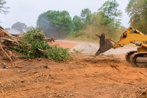 Ground Clearing in Pompano Beach