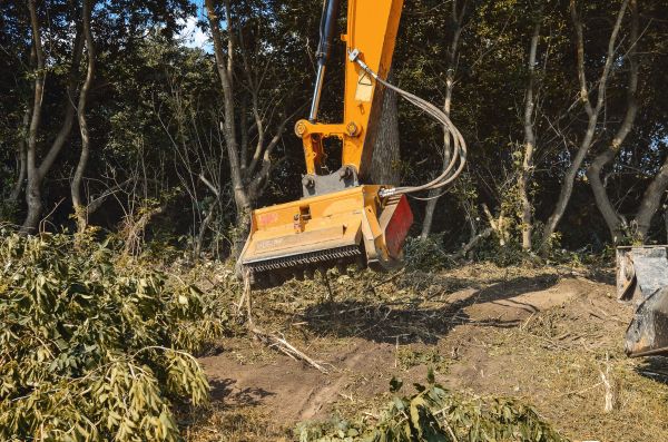 Brush Removal Service in Pompano Beach