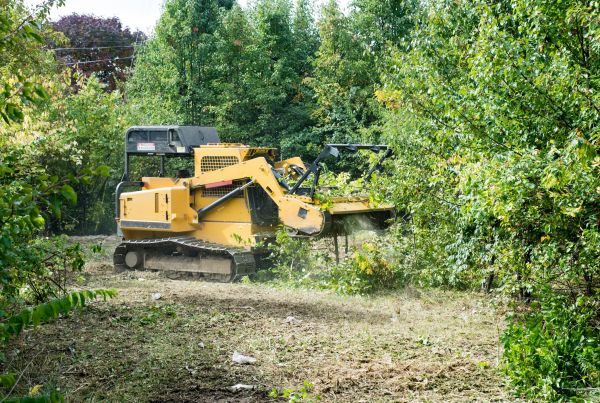 Pathway Clearing in Pompano Beach