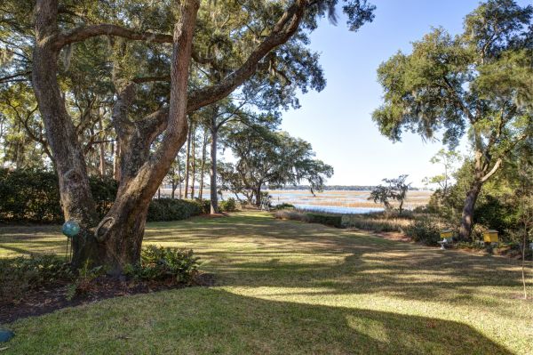Lakefront Property Clearing in Pompano Beach